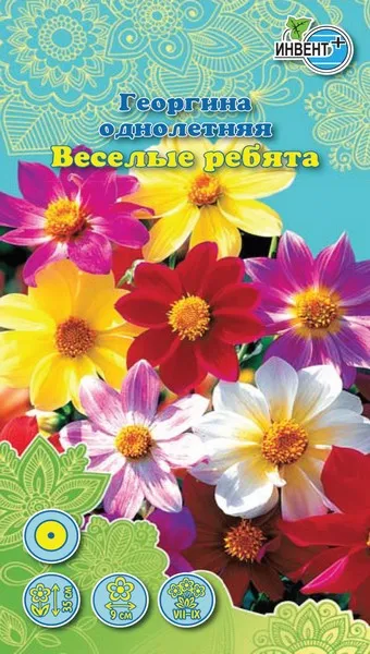 Георгина однолетняя Веселые Ребята смесь, ИНВЕНТ+: фото