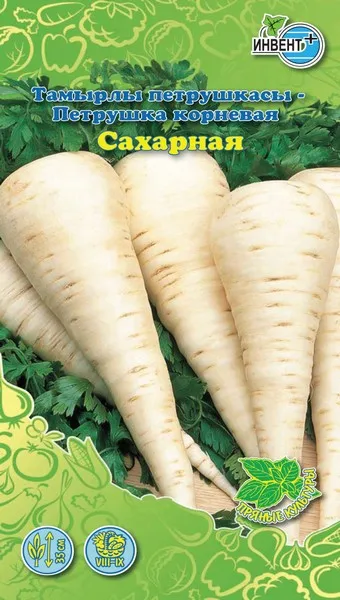 Петрушка корневая Сахарная, ИНВЕНТ+: фото