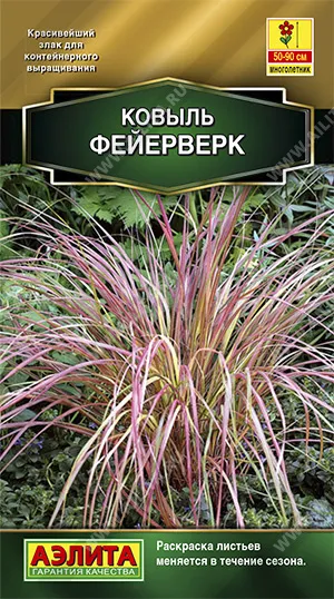 Семена ковыль Фейерверк, Аэлита: фото