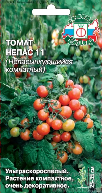 Семена Томат Непас 11 (Непасынкующийся комнатный), Седек: фото
