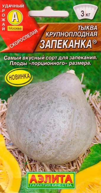 Семена тыква крупноплодная Запеканка, Аэлита: фото