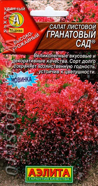 Семена салат Гранатовый сад, Аэлита: фото