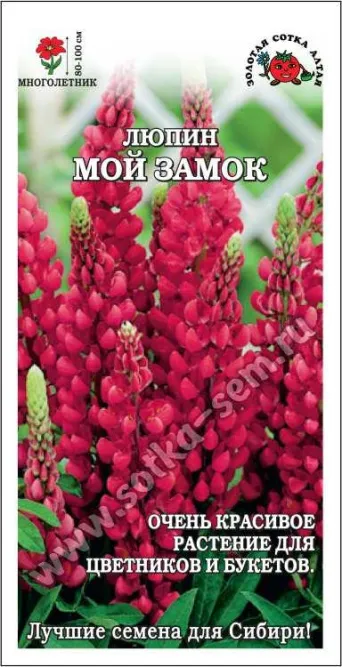 Семена люпин Мой Замок, Золотая Сотка: фото