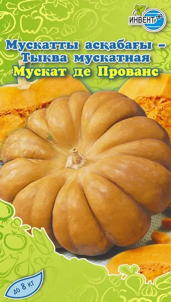 Тыква мускатная Мускат де Прованс, ИНВЕНТ+: фото