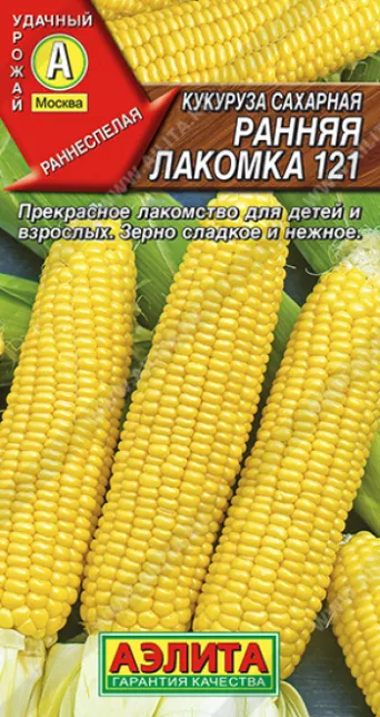 Семена кукуруза сахарная Ранняя лакомка 121, Аэлита: фото