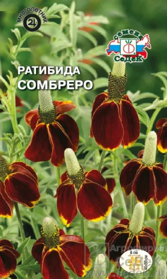 Семена ратибида Сомбреро, Седек: фото