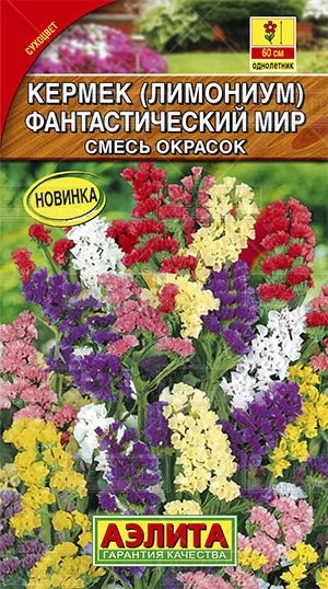 Семена кермек Фантастический мир, смесь, Аэлита: фото
