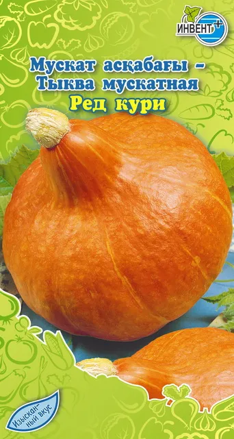 Тыква мускатная Ред Кури, ИНВЕНТ+: фото