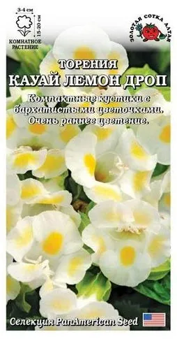 Семена торения Кауай Лемон Дроп, Золотая Сотка: фото