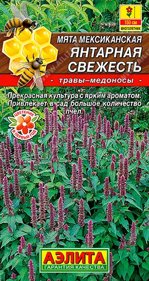 Семена мята мексиканская Янтарская свежесть, Аэлита: фото