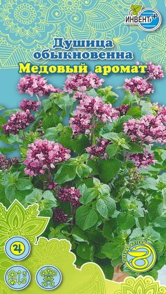 Душица обыкновенная Медовый Аромат, ИНВЕНТ+: фото