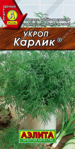 Семена укроп Карлик, Аэлита: фото