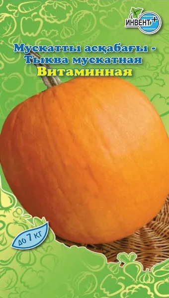 Тыква мускатная Витаминная, ИНВЕНТ+: фото