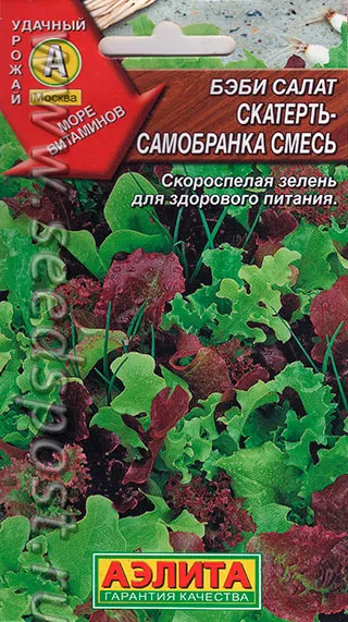 Семена бэби салат Скатерть-самобранка, Аэлита: фото