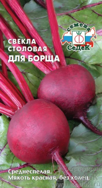 Семена свекла столовая Для Борща, Седек: фото