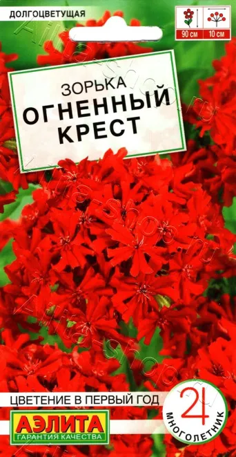Семена зорька Огненный крест, Аэлита: фото