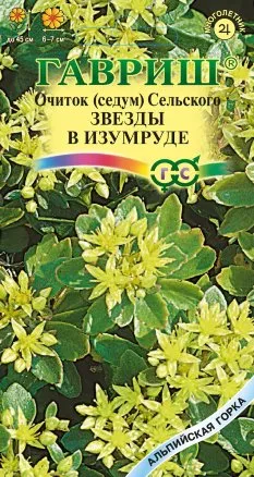 Семена седум Сельского Звезды в изумруде, Гавриш: фото