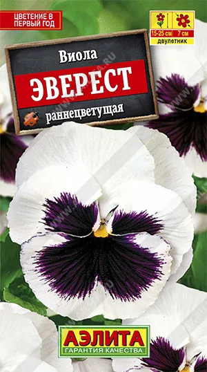 Семена виола Эверест, Аэлита: фото