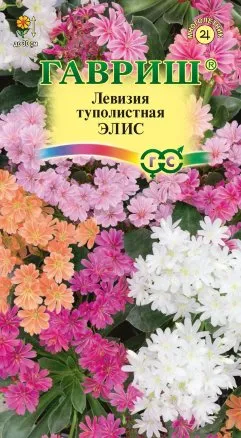 Семена льюизия (левизия) туполистная Элис, Гавриш: фото