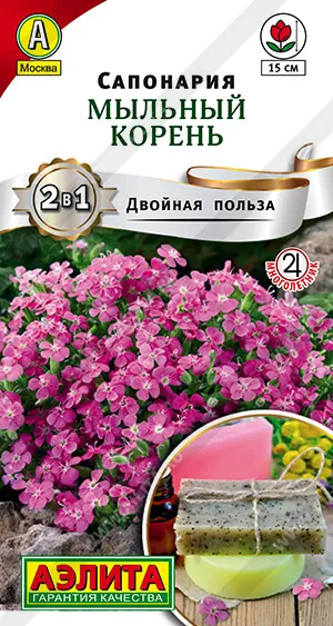Семена сапонария Мыльный корень, Аэлита: фото