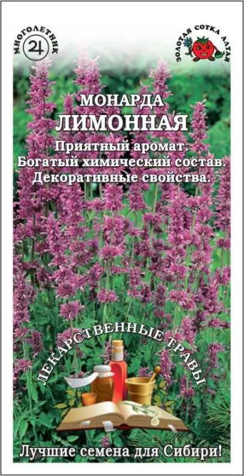 Семена монарда Лимонная, Золотая сотка: фото