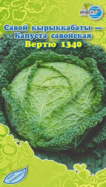Капуста савойская Вертю 1340, ИНВЕНТ+: фото