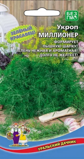 Семена укроп Миллионер, Уральский дачник: фото