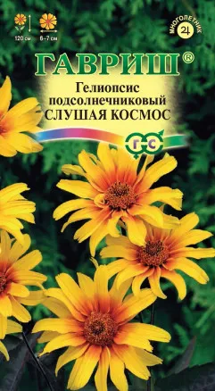 Семена гелиопсис подсолнечниковый Слушая Космос, Гавриш: фото
