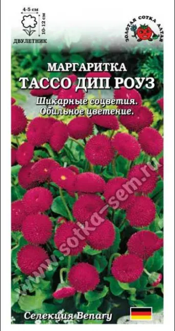 Семена маргаритка Тассо дип роуз, Золотая Сотка: фото