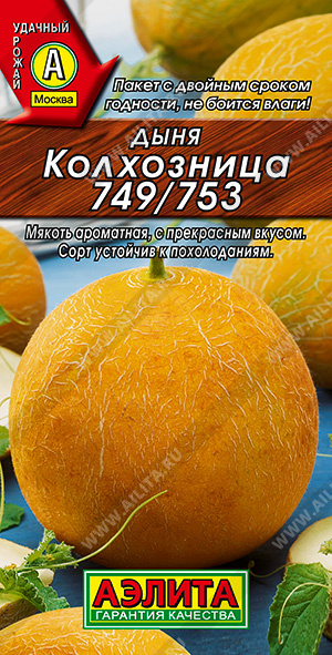 Семена дыня Колхозница-749/753, Аэлита: фото