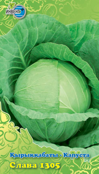 Капуста б/к Слава 1305, ИНВЕНТ+: фото