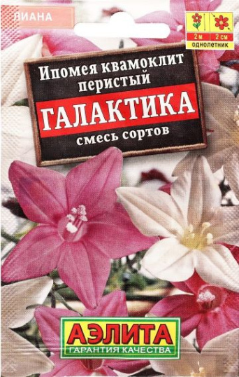 Семена ипомея квамоклит Галактика, Аэлита: фото