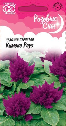 Семена Целозия перистая Кимоно Роуз, Гавриш: фото