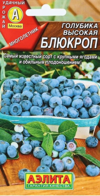 Семена голубика Блюкроп, Аэлита: фото