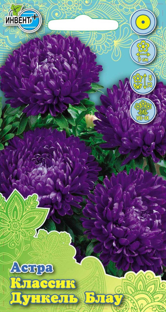 Астра Классик Дункель Блау, ИНВЕНТ+: фото