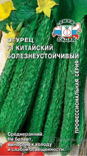 Семена огурец Китайский Болезнеустойчивый F1, Седек: фото