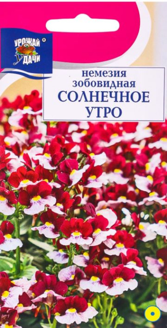 Семена немезия Солнечное утро, Урожай удачи: фото