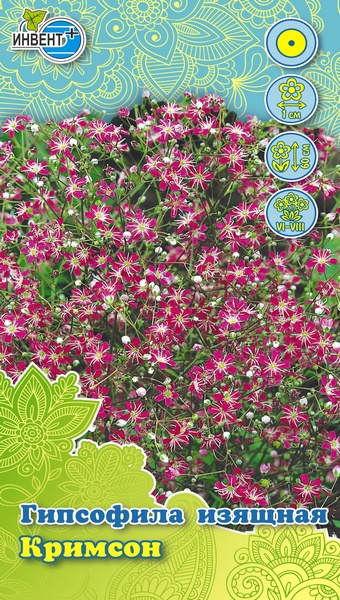 Гипсофила изящная Кримсон ИНВЕНТ+: фото