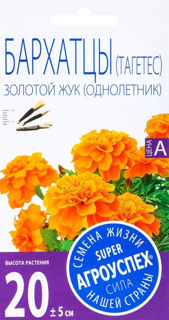 Семена бархатцы Золотой Жук, Агроуспех: фото