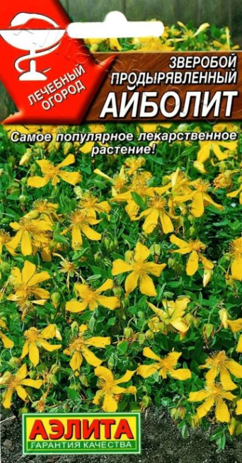 Семена зверобой Айболит, Аэлита: фото