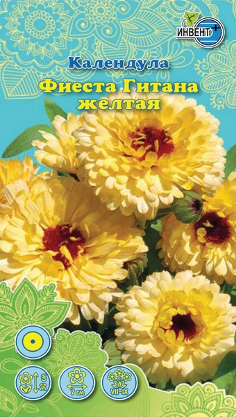 Календула Фиеста Гитана жёлтая, ИНВЕНТ+: фото