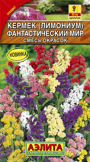 Семена кермек Фантастический мир, смесь, Аэлита: фото