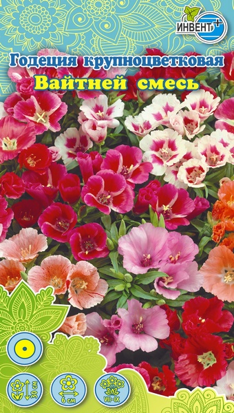 Годеция Вайтней смесь, ИНВЕНТ+: фото