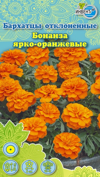 Бархатцы отклоненные Бонанза ярко-оранжевые, ИНВЕНТ+: фото