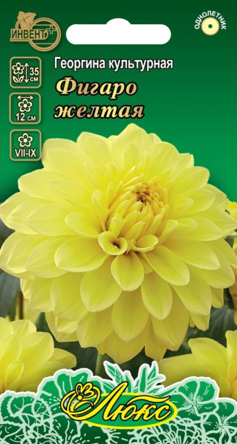 Георгина Фигаро желтая (серия ЛЮКС), ИНВЕНТ+: фото