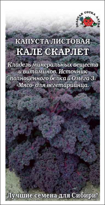 Семена капуста листовая Кале Скарлет, Золотая Сотка: фото