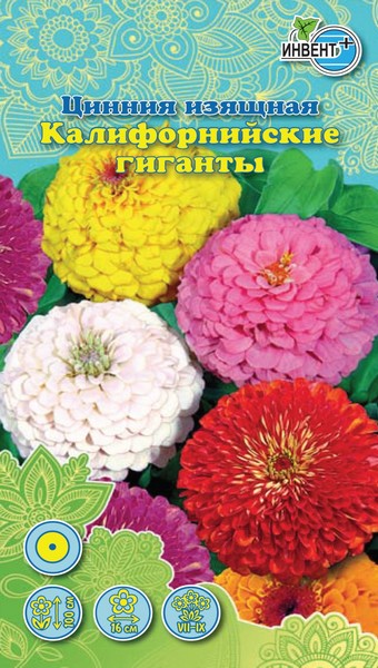 Цинния изящная смесь Калифорнийские гиганты, ИНВЕНТ+: фото