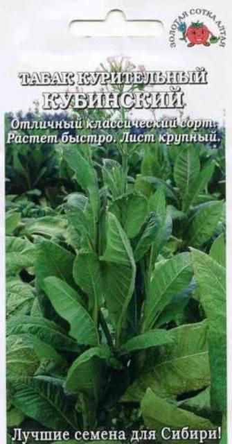 Семена табак курительный Кубинский, Золотая сотка: фото