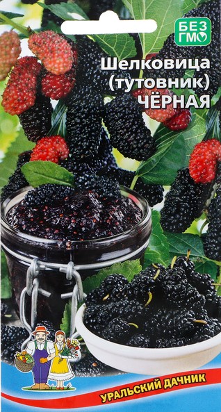 Семена шелковица (тутовник) черная, Уральский Дачник: фото