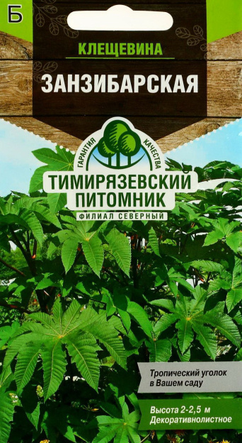Семена клещевина Занзибарская, Тимирязевский питомник: фото